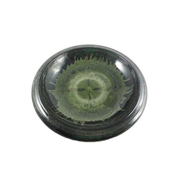 Tdi Brands TDI Brands TDI48181T Hunter Green Gloss Bird Bowl with Gloss Rim TDI48181T